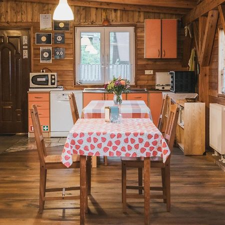Agroturystyka Pod Modrzewiami Nowy Tomyśl Buitenkant foto
