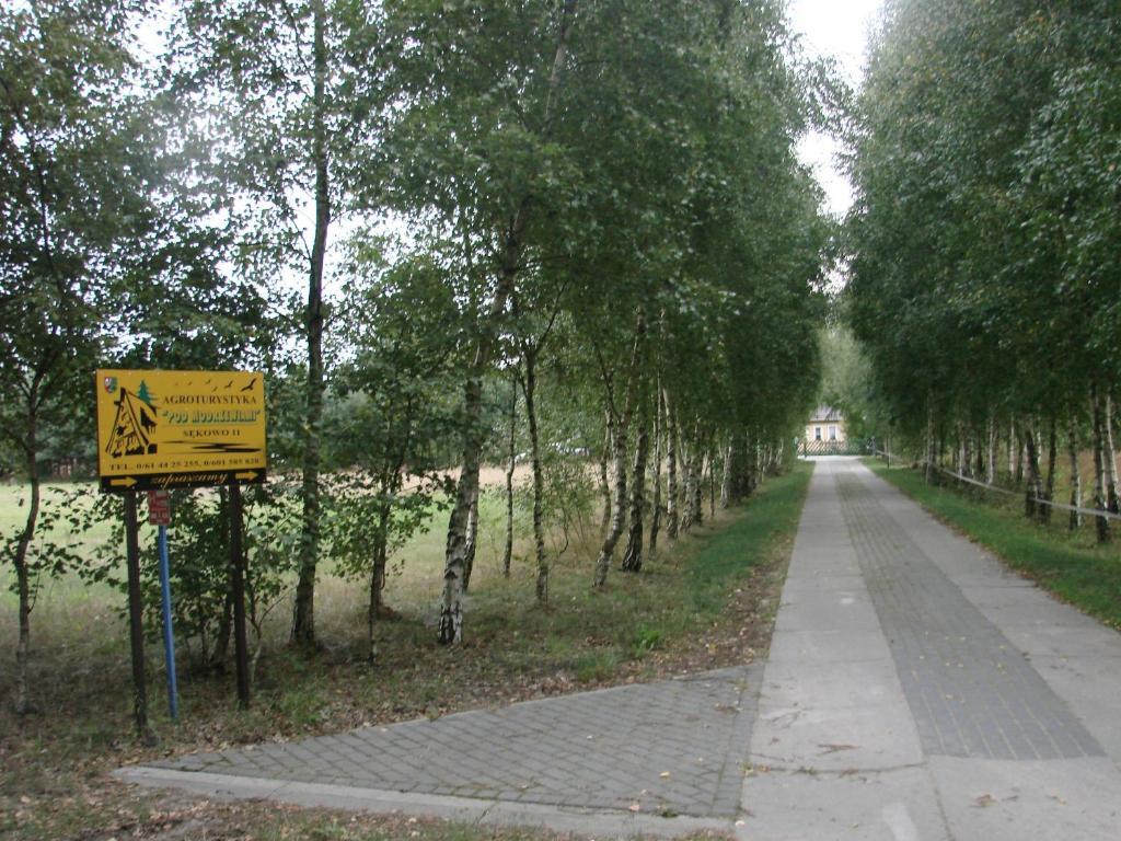 Agroturystyka Pod Modrzewiami Nowy Tomyśl Buitenkant foto