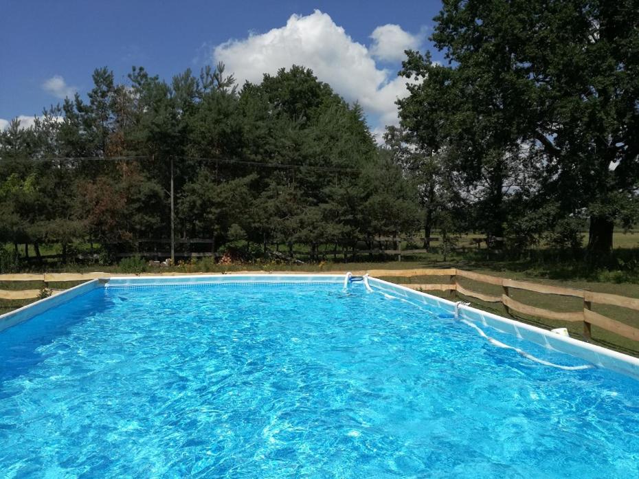 Agroturystyka Pod Modrzewiami Nowy Tomyśl Buitenkant foto