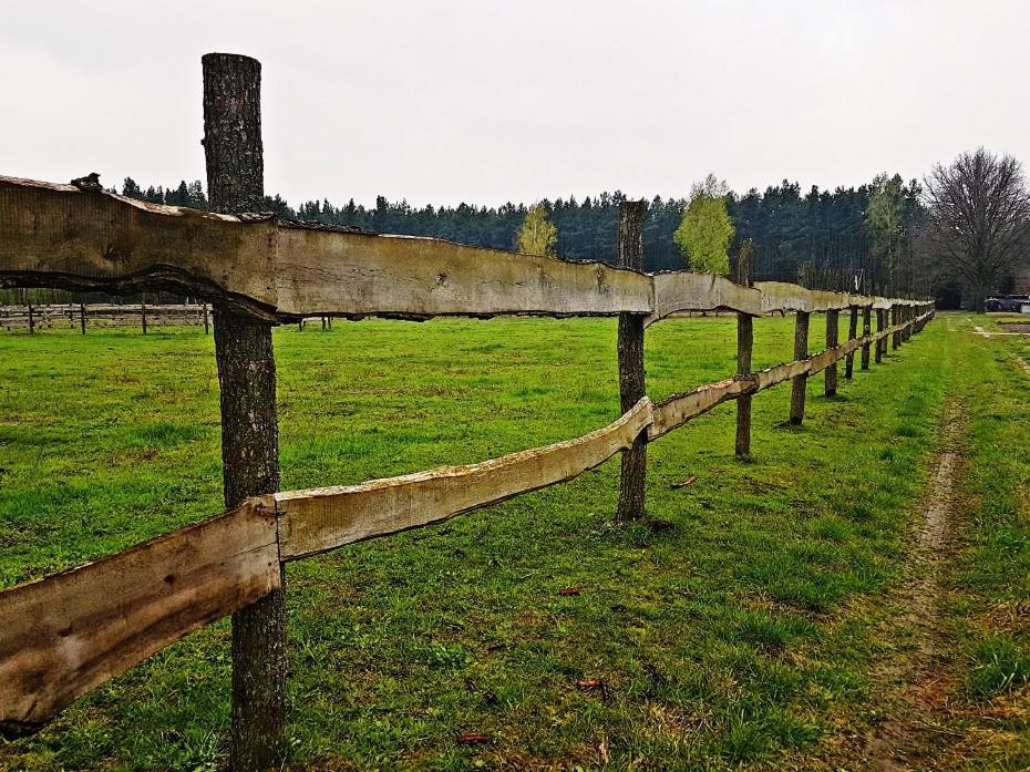 Agroturystyka Pod Modrzewiami Nowy Tomyśl Buitenkant foto