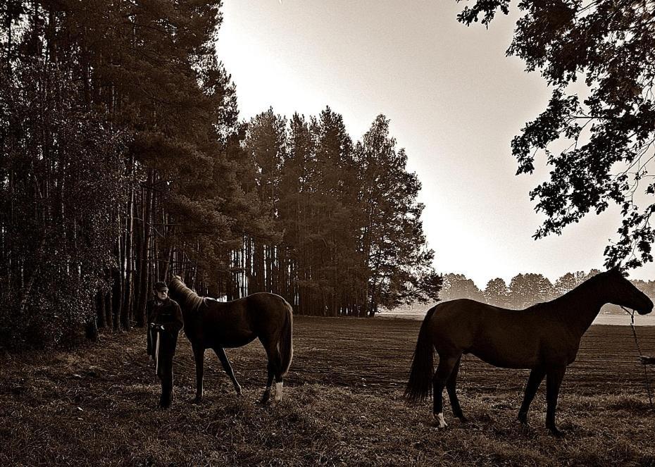 Agroturystyka Pod Modrzewiami Nowy Tomyśl Buitenkant foto