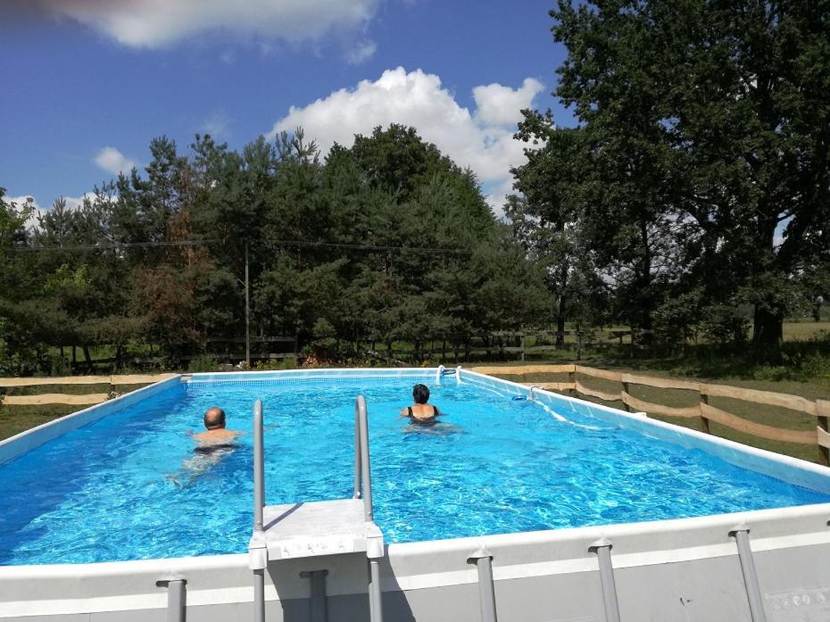 Agroturystyka Pod Modrzewiami Nowy Tomyśl Buitenkant foto