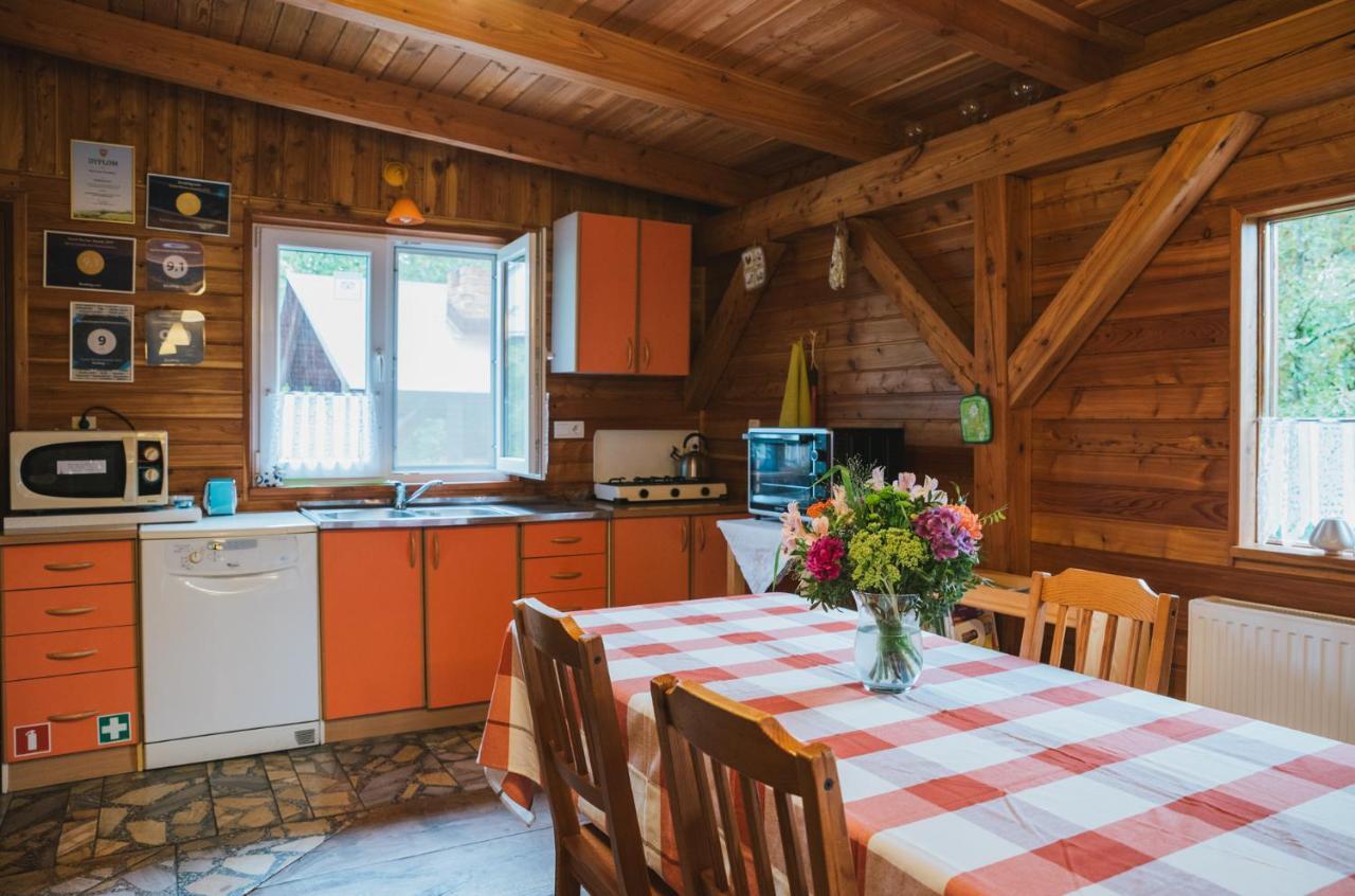 Agroturystyka Pod Modrzewiami Nowy Tomyśl Buitenkant foto