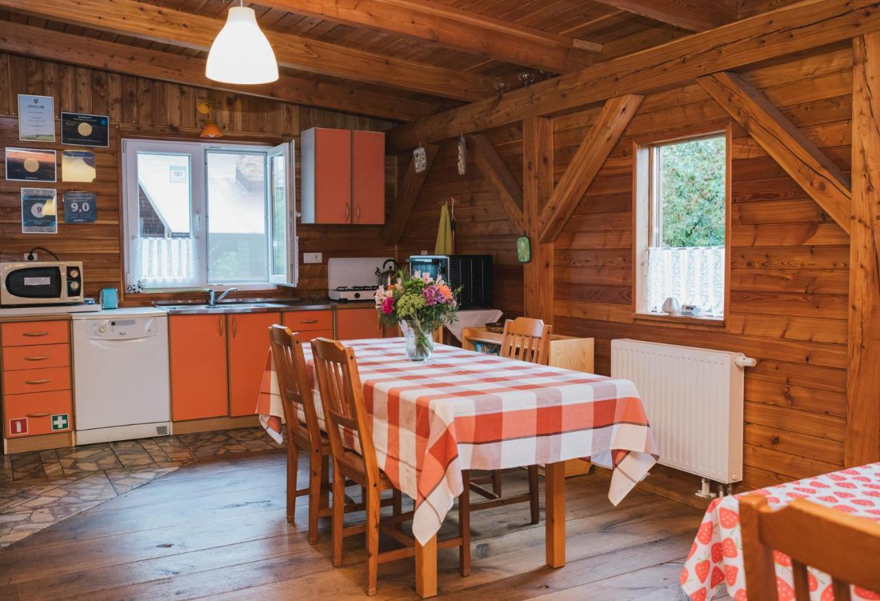 Agroturystyka Pod Modrzewiami Nowy Tomyśl Buitenkant foto